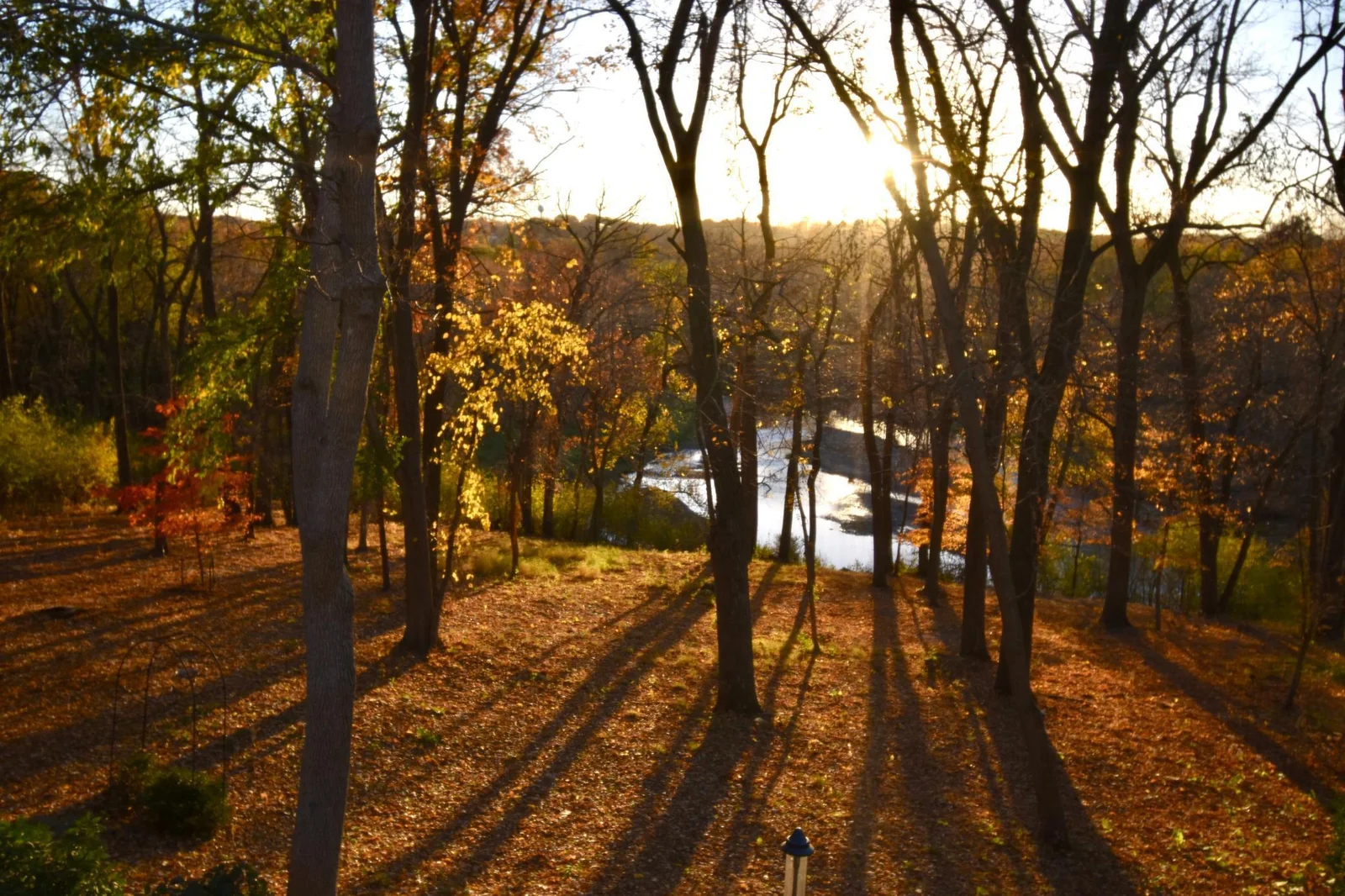Over an acre of wooded lot