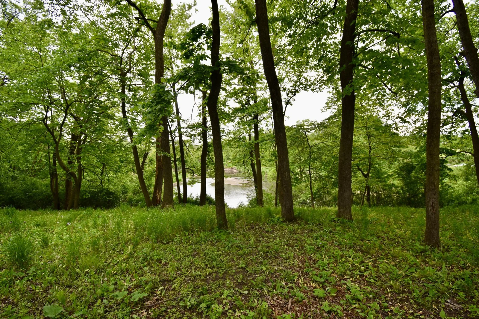 Over an acre of wooded lot