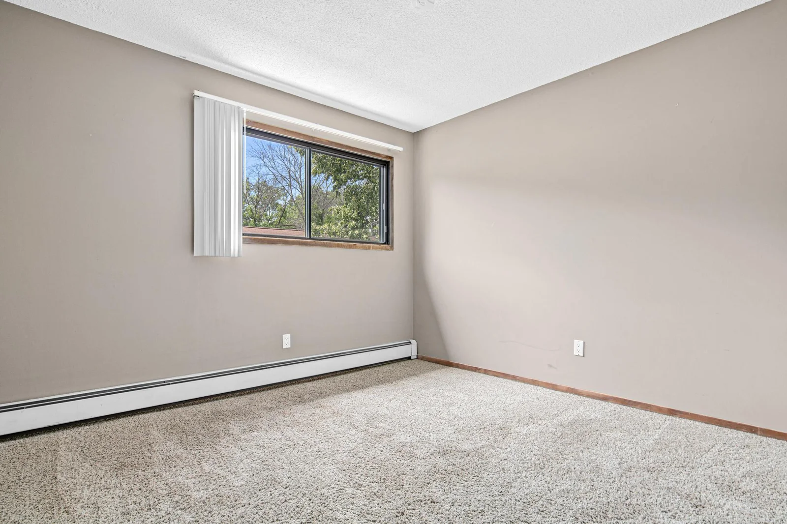 1566 Millpond Ct, Chaska-11.jpg