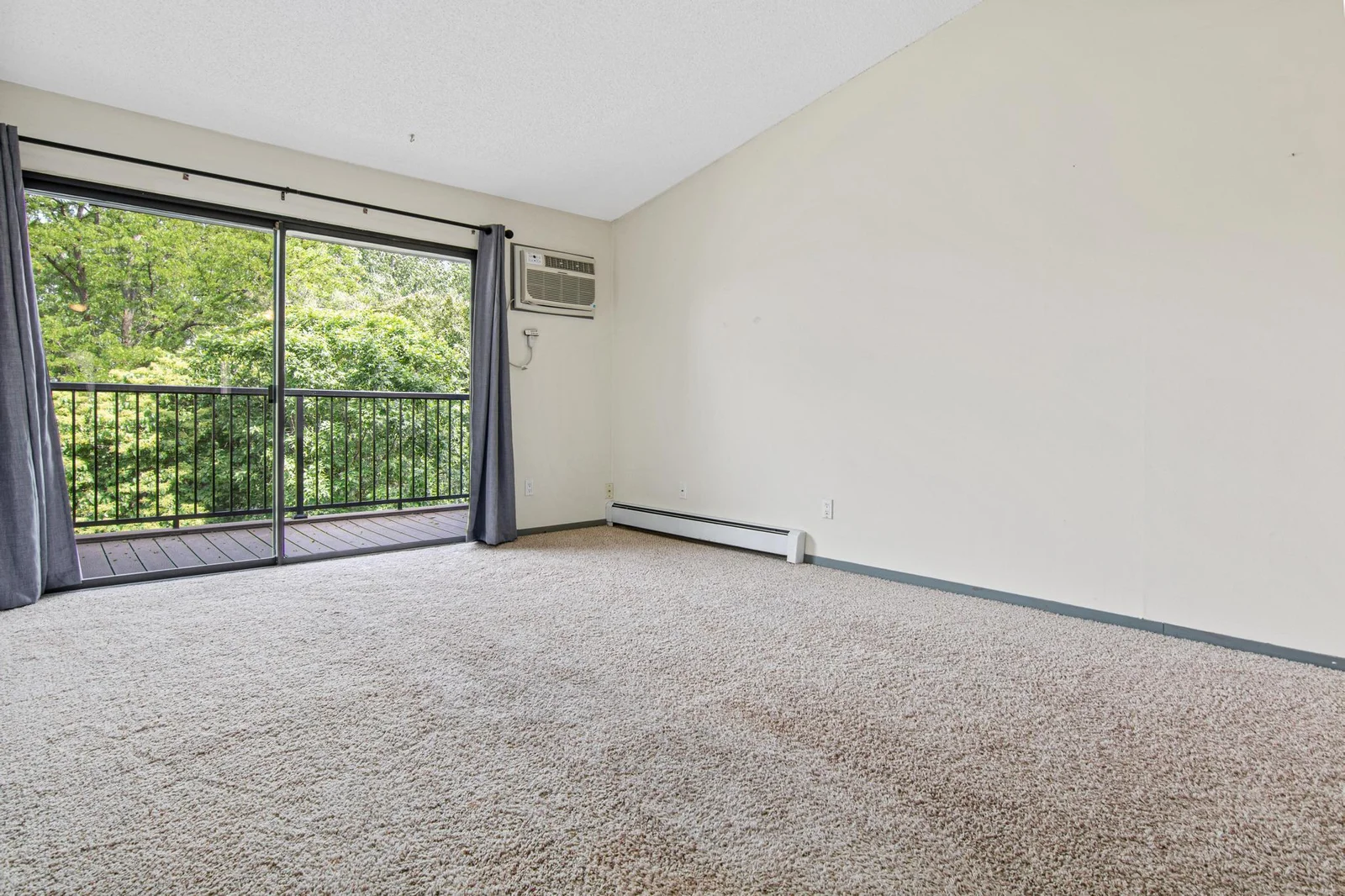 1566 Millpond Ct, Chaska-5.jpg
