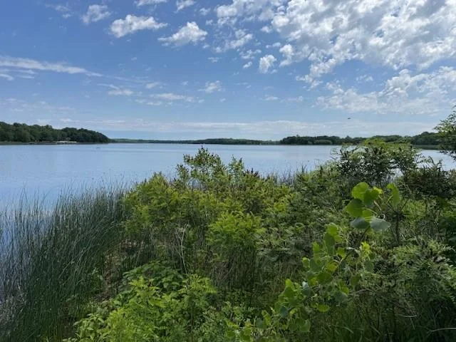 View Looking out to lake from picnic area.