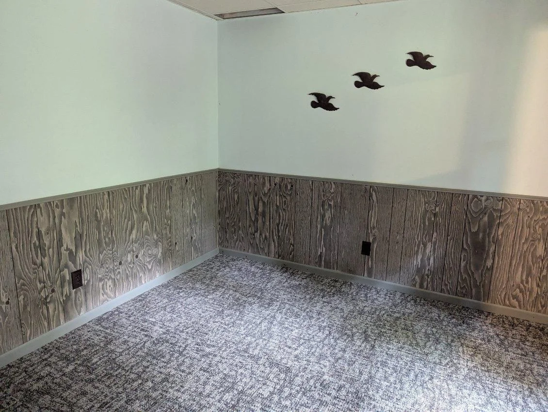 Lower level bedroom