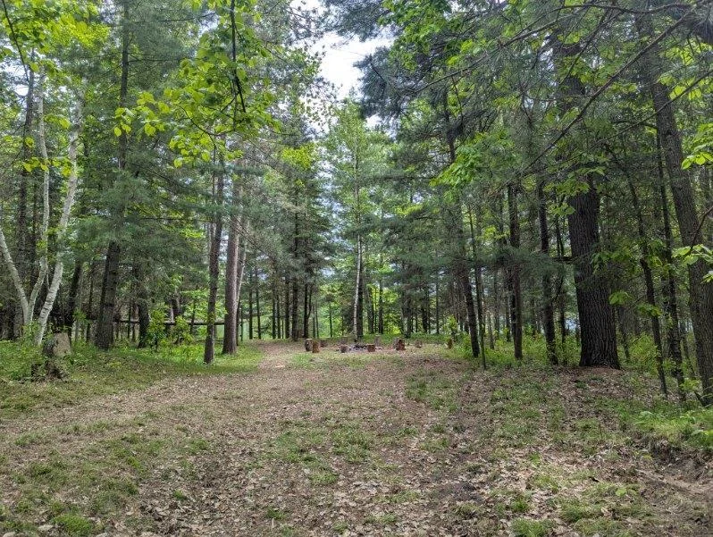 Yard to lake is nicely strudded with tamarack and pines.