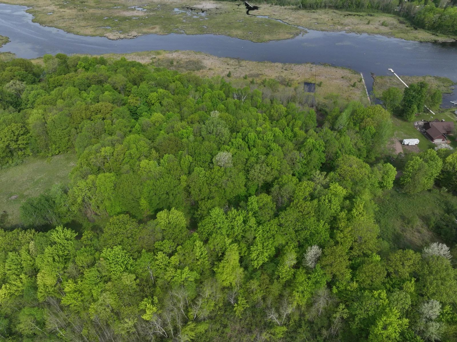 Wooded lot