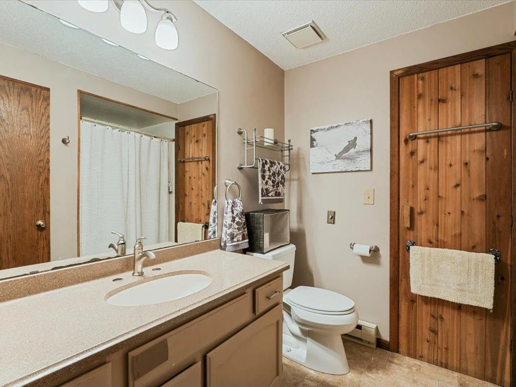 Lower level Bathroom