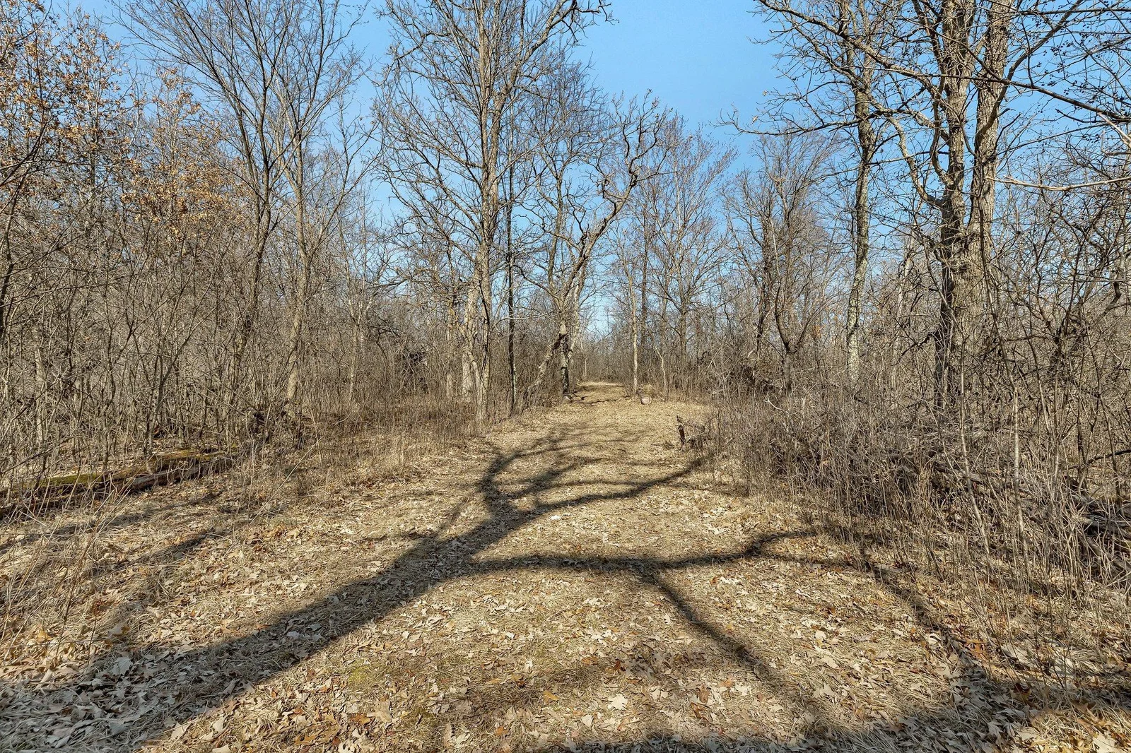 B02I2505.jpg