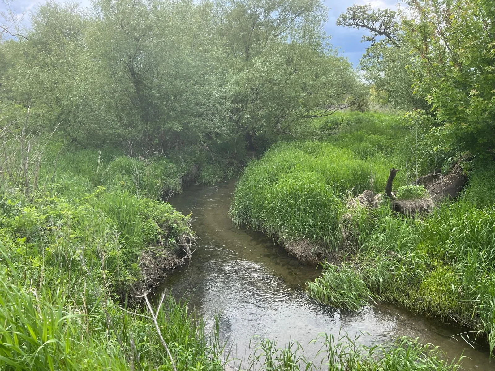Flowing Creek connects to the Upper Iowa River