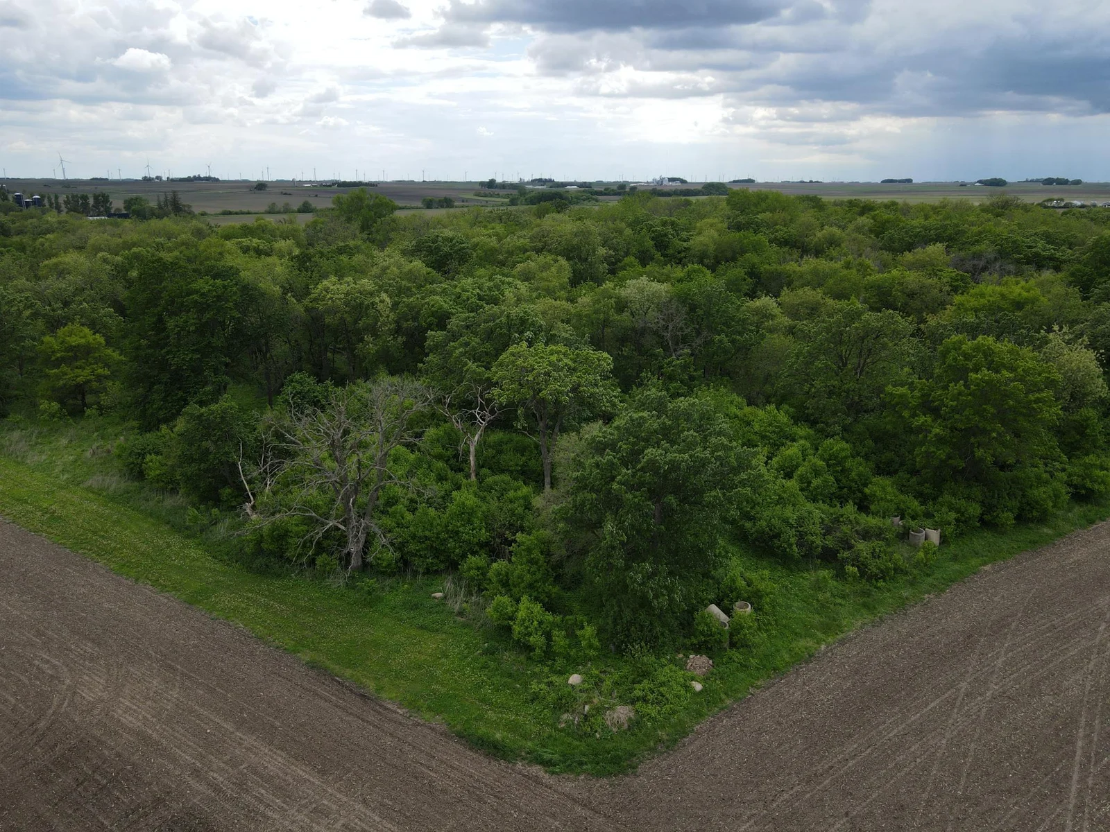 NW Wood Lot