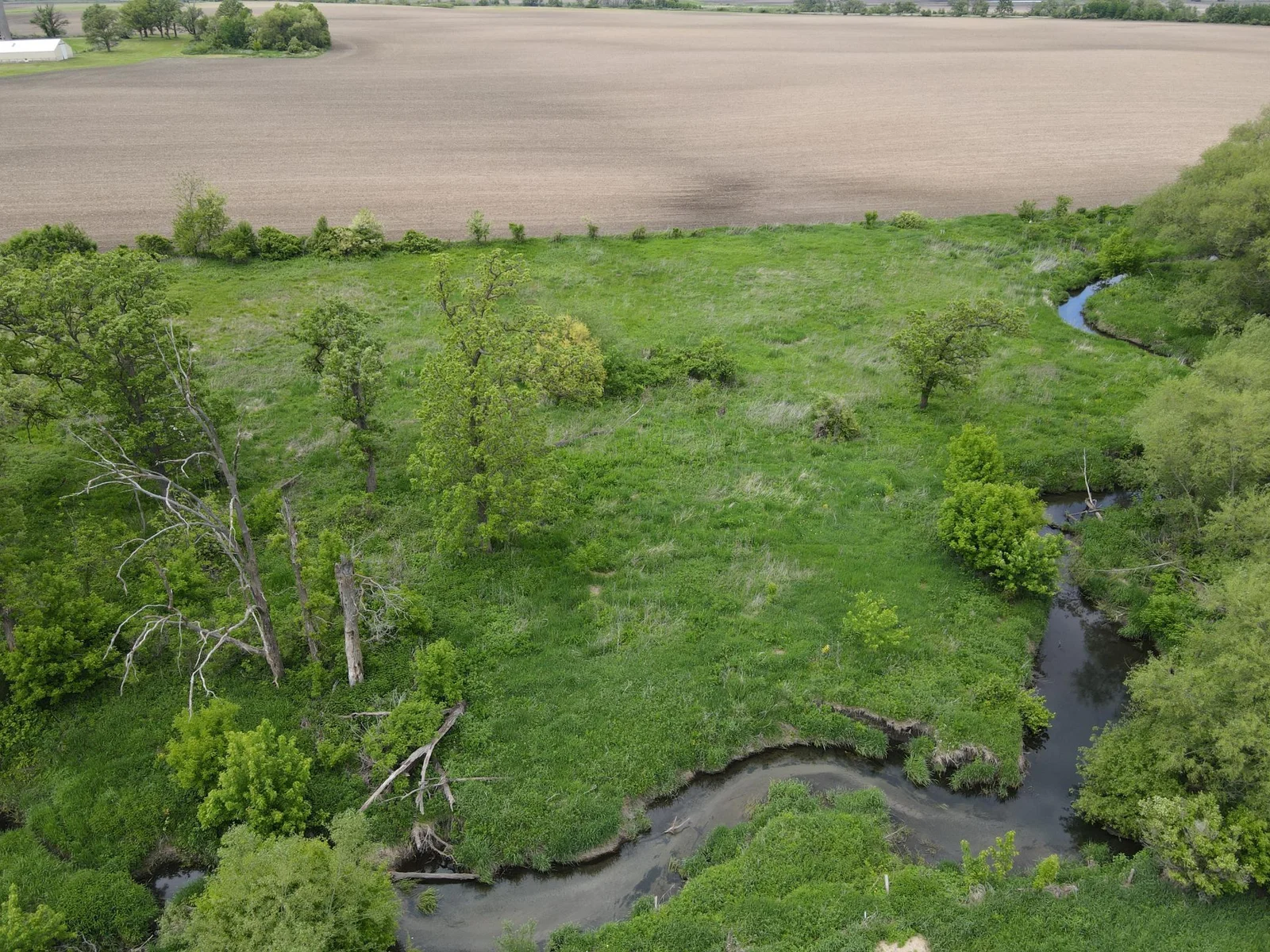 From the Creek facing North