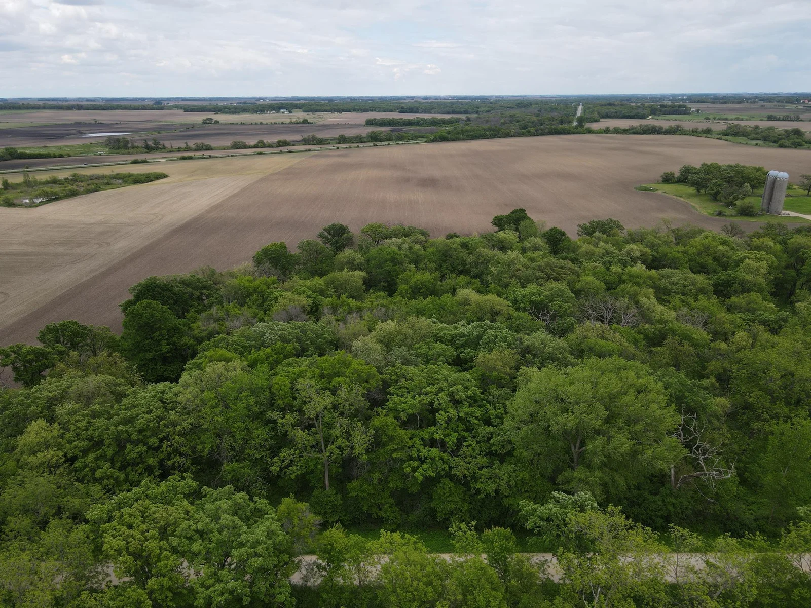 Property Facing East from the West Line