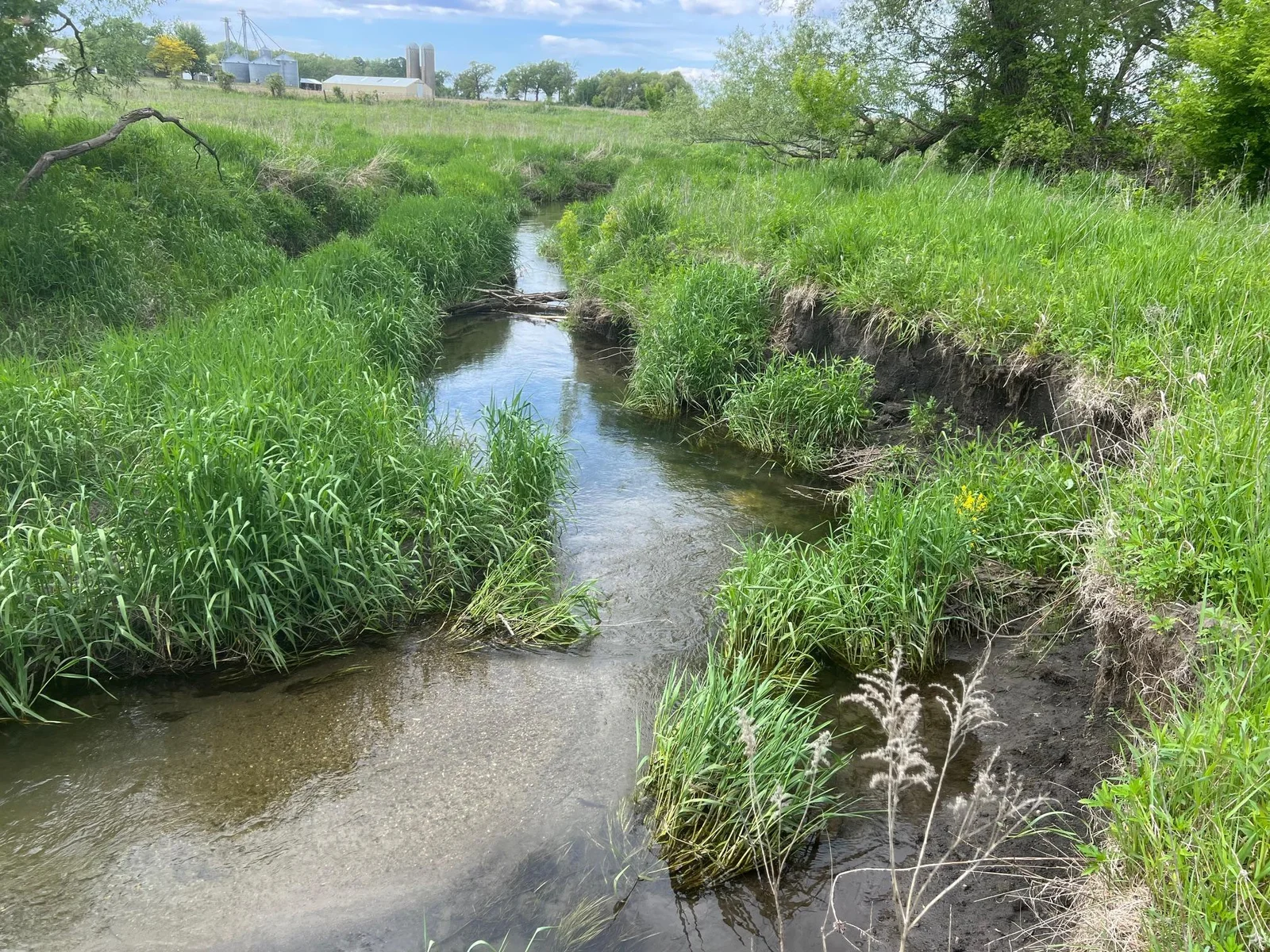 Flowing Sand Bottom Creek on the land connects to the Upper Iowa River just across Hwy 56