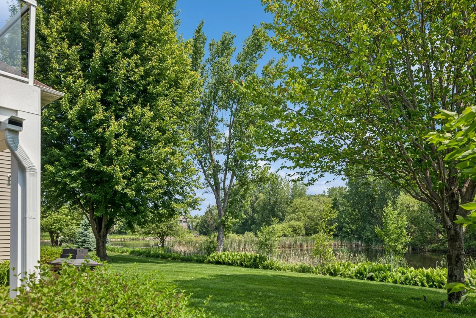 A view of Sunrise Lake and access to the pond.