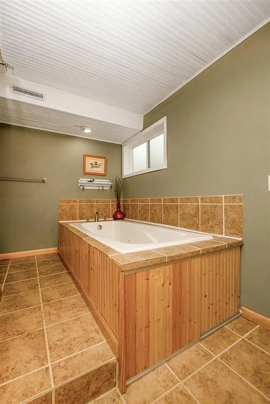 Bathroom 2 lower level