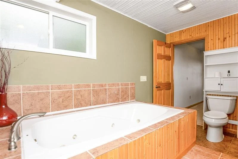 Bathroom 2 lower level