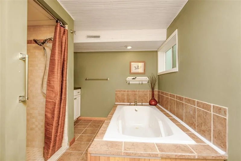 Bathroom 2 lower level