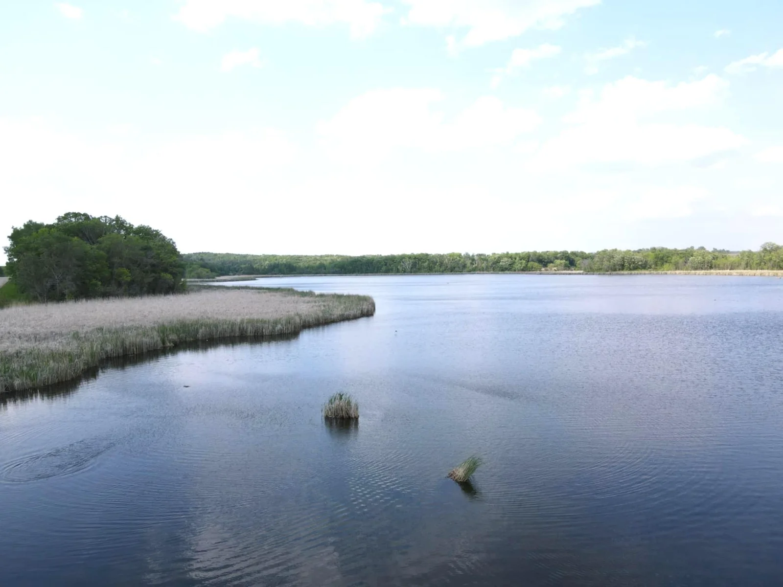 Lake.jpg
