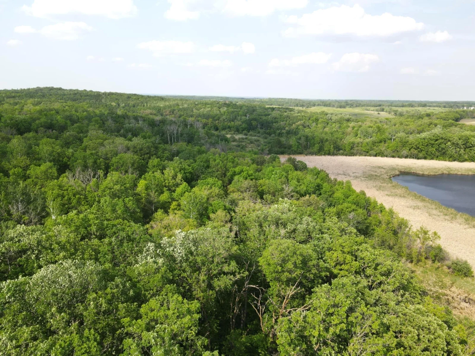 Aerial view.jpg