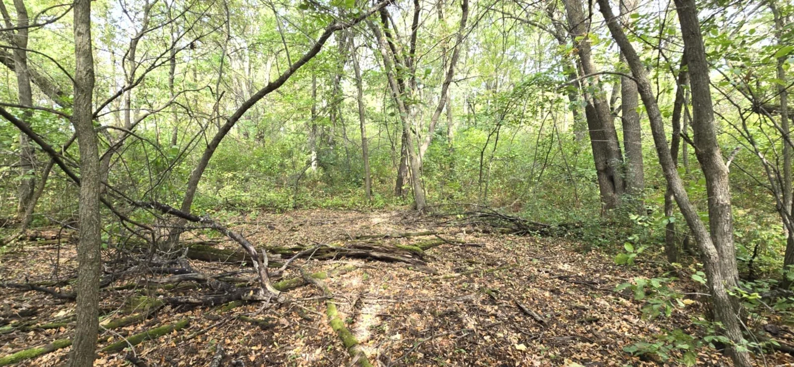 65 Acres.jpg