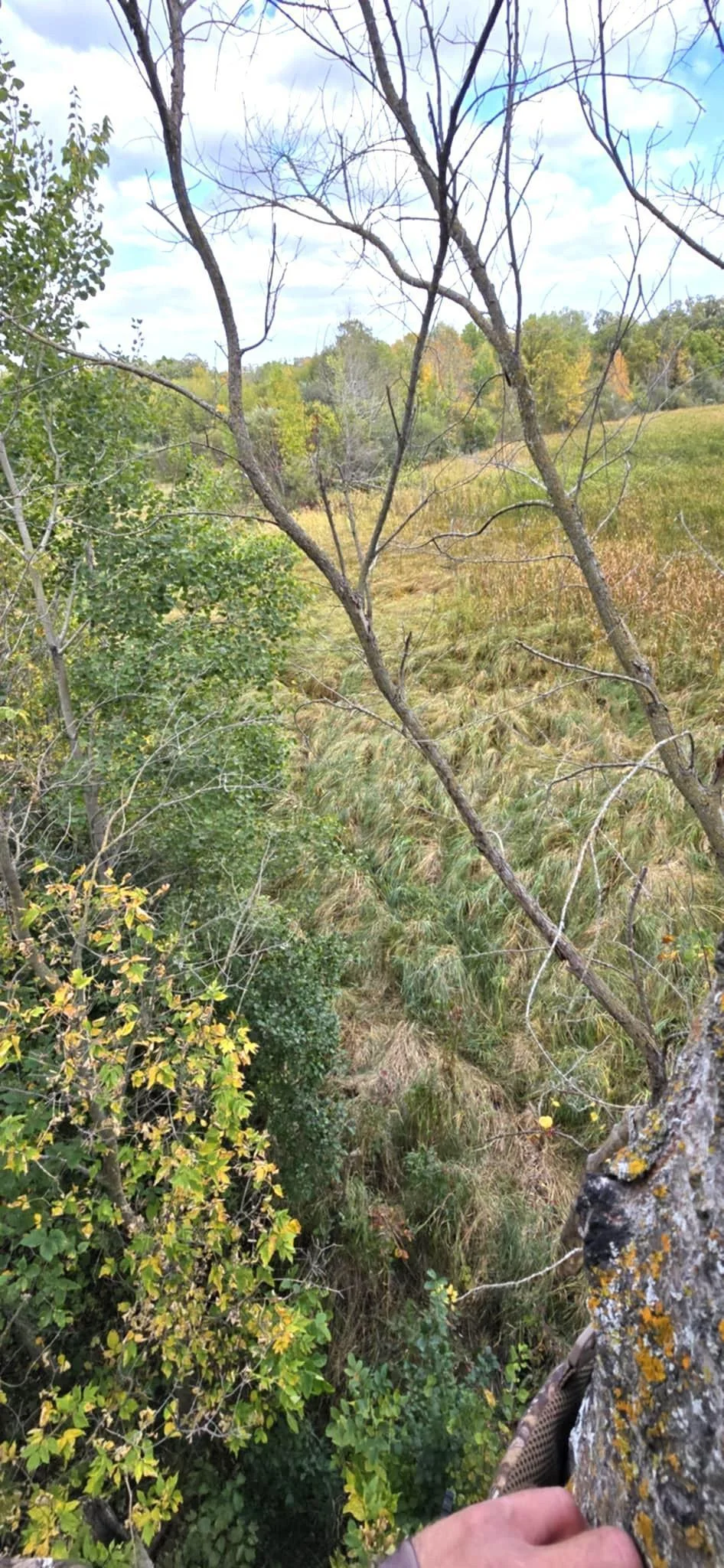 Hunting Opportunities!.jpg