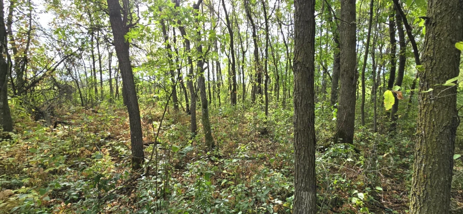 Opportunities for any outdoor enthusiast!.jpg