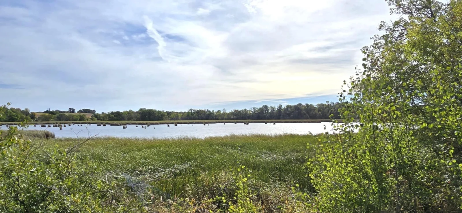 Approx. 35 +or- Acre Private Lake.jpg