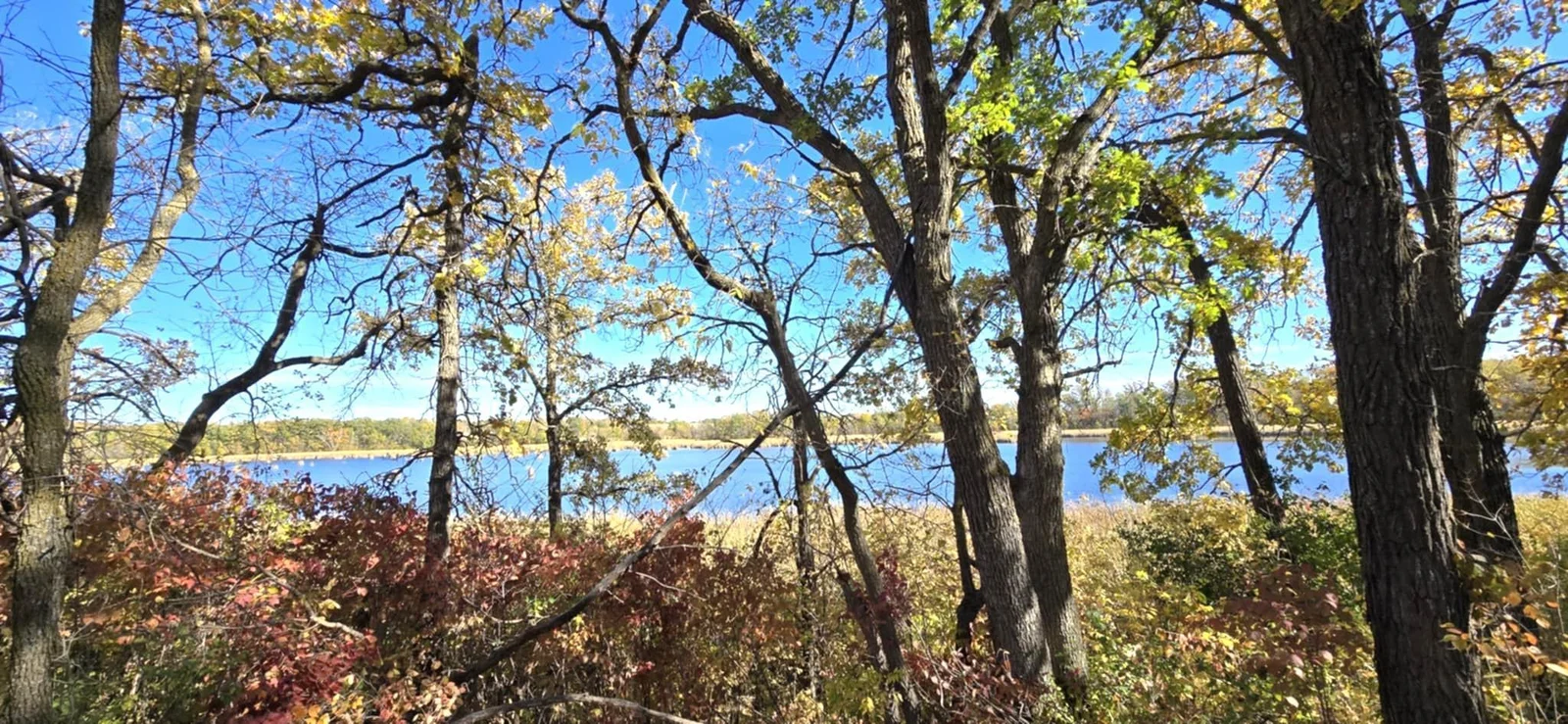 Surrounded by beautiful views.jpg