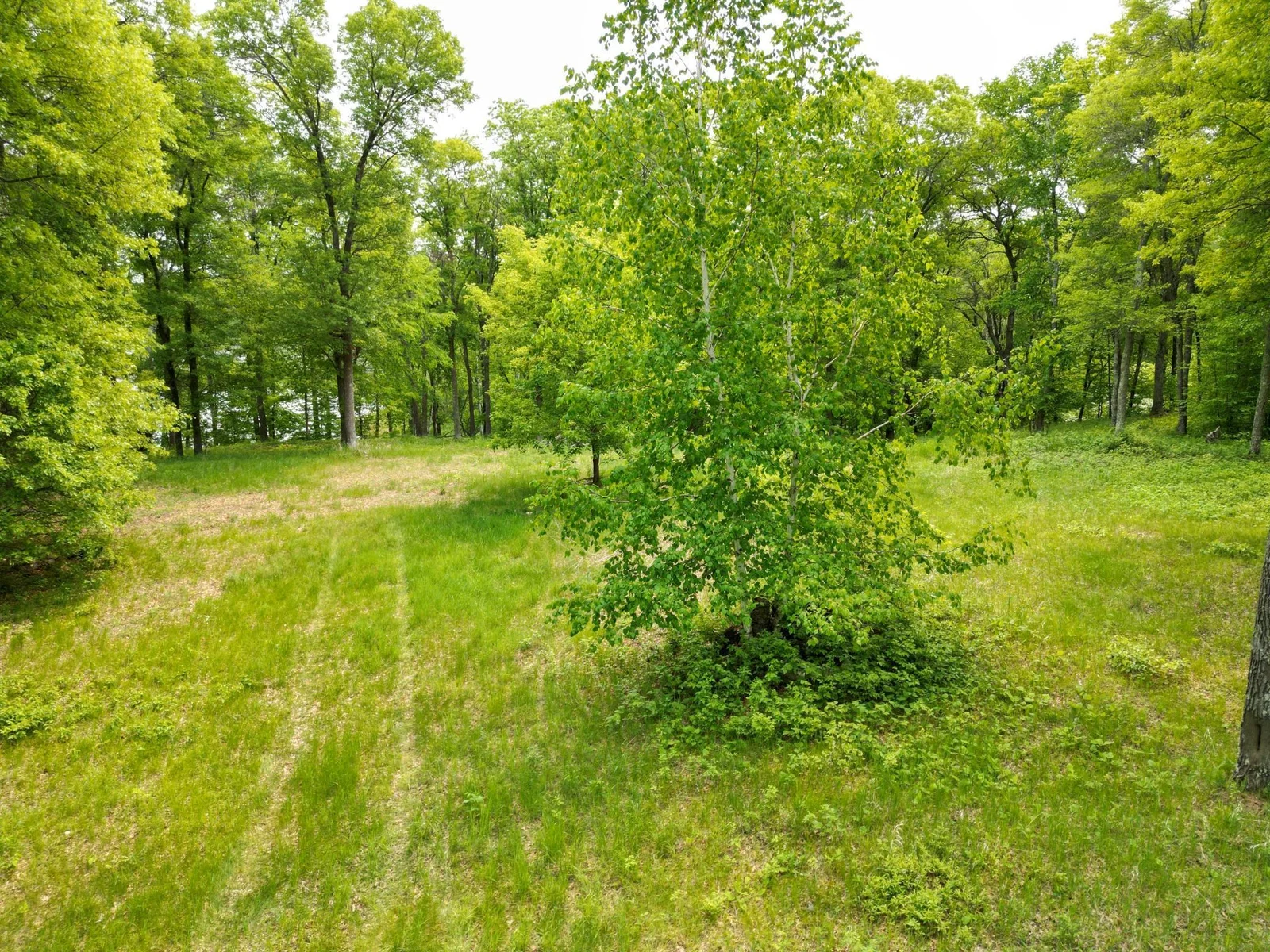 Thumbnail photo 31