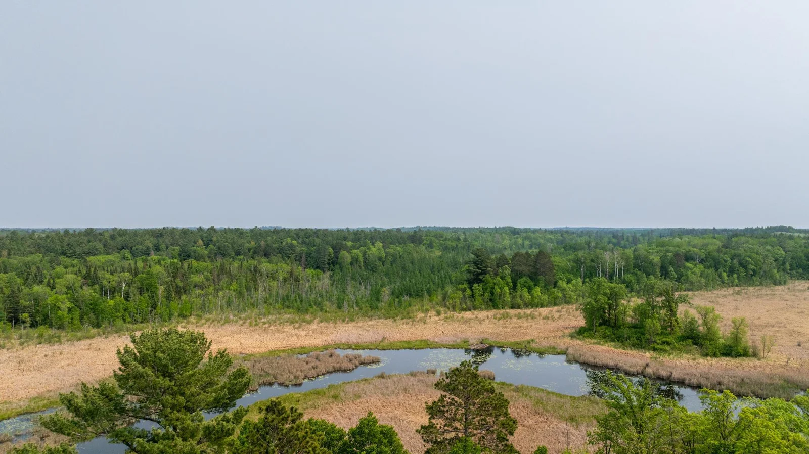 Amdak__21341 County 50 Park Rapids MN_0004.jpg