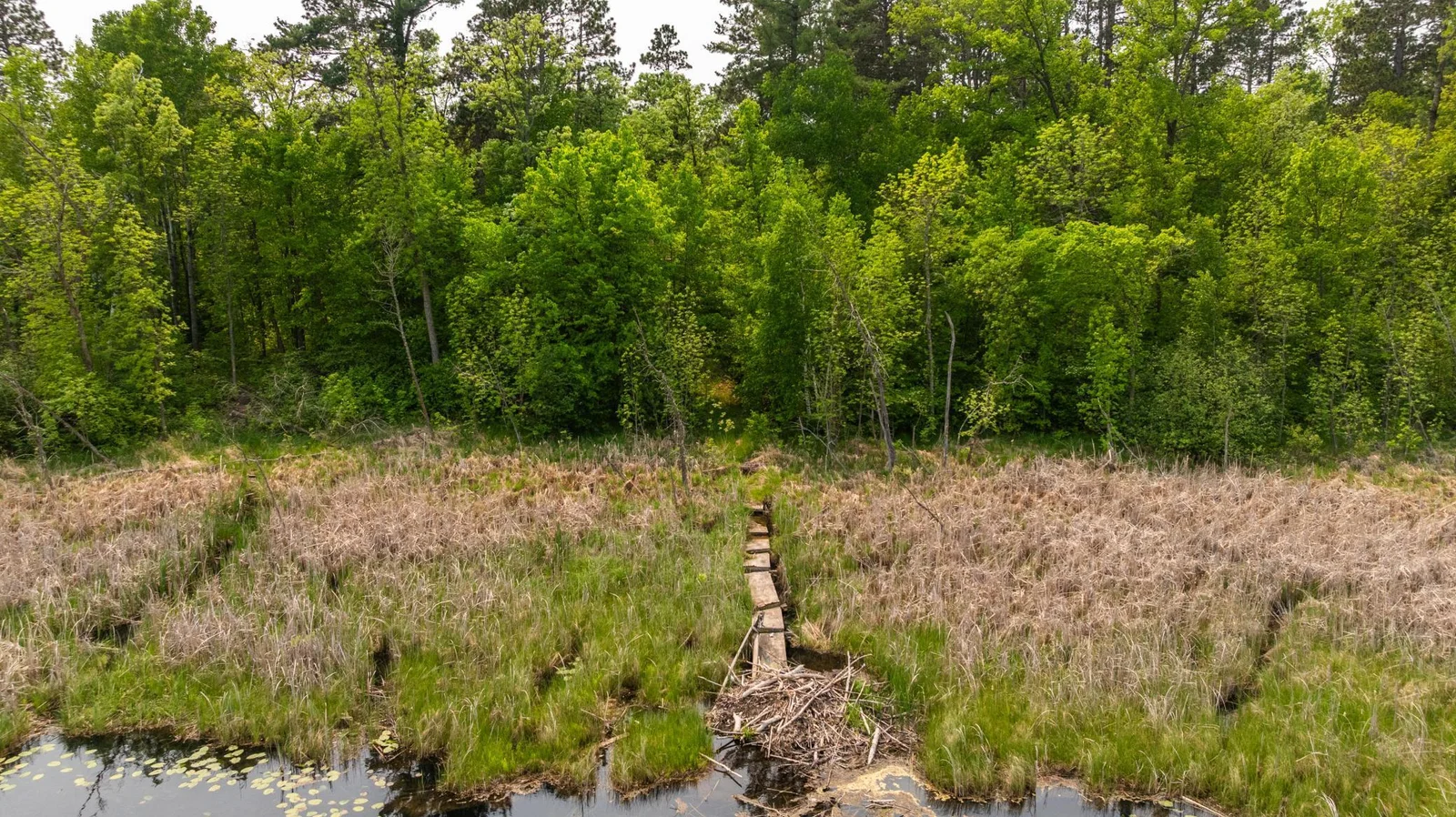 Amdak__21341 County 50 Park Rapids MN_0009.jpg