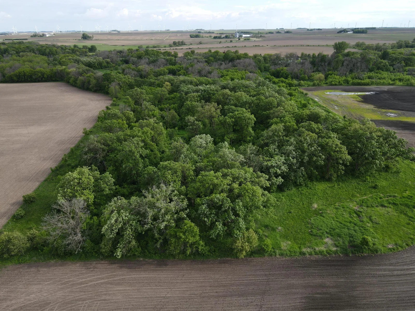 SE Wood Lot facing South
