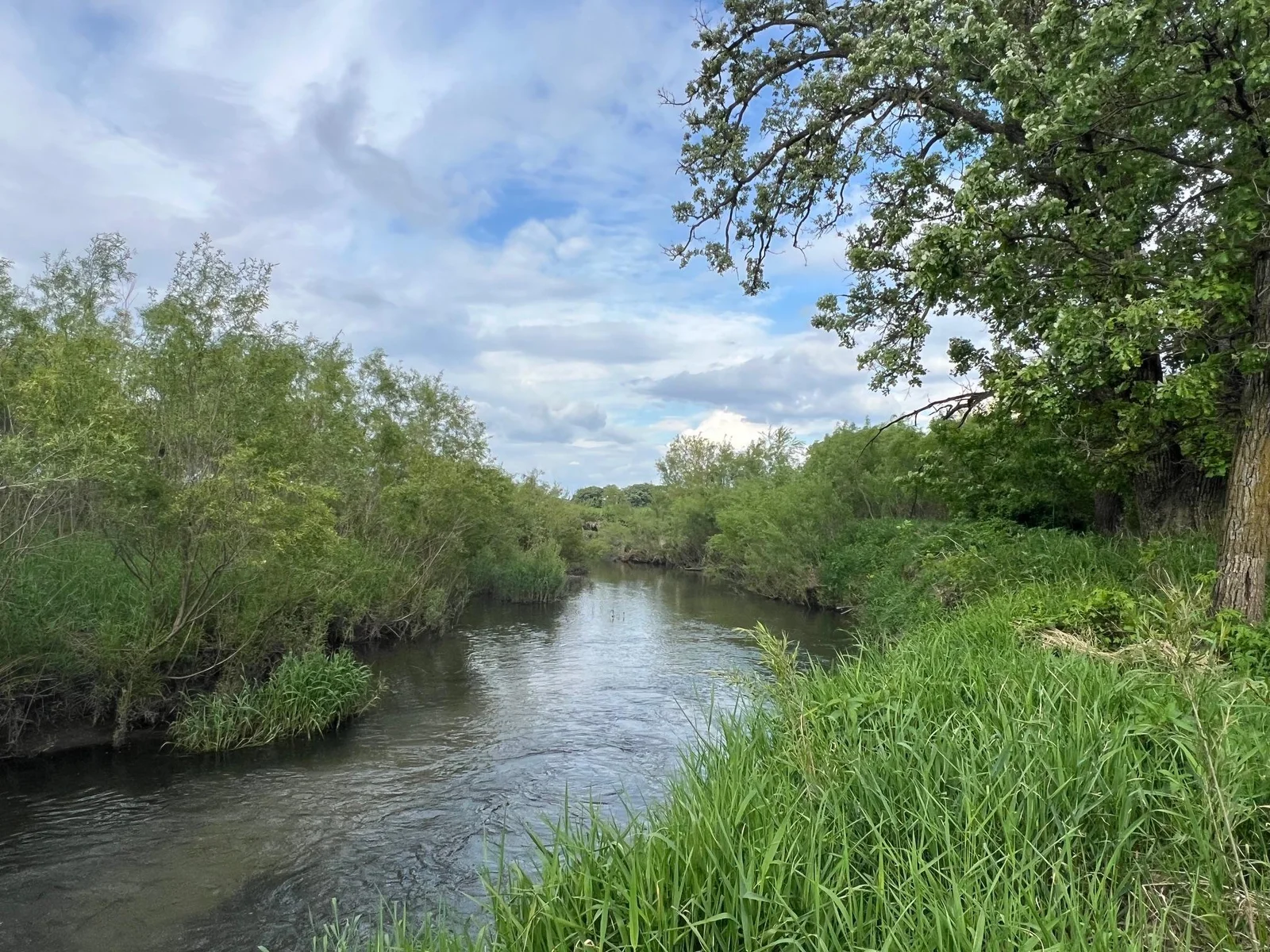 Upper Iowa River.  Over 4500! feet of river frontage