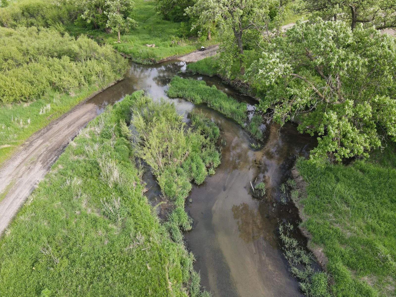 Sand Bottom River