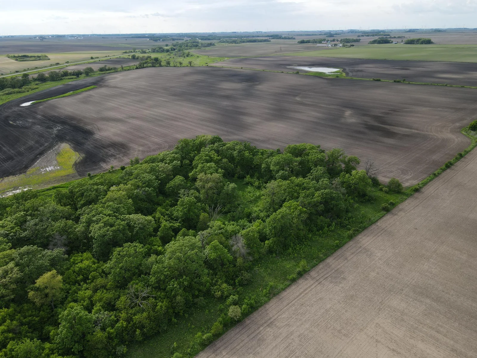 Property facing NW