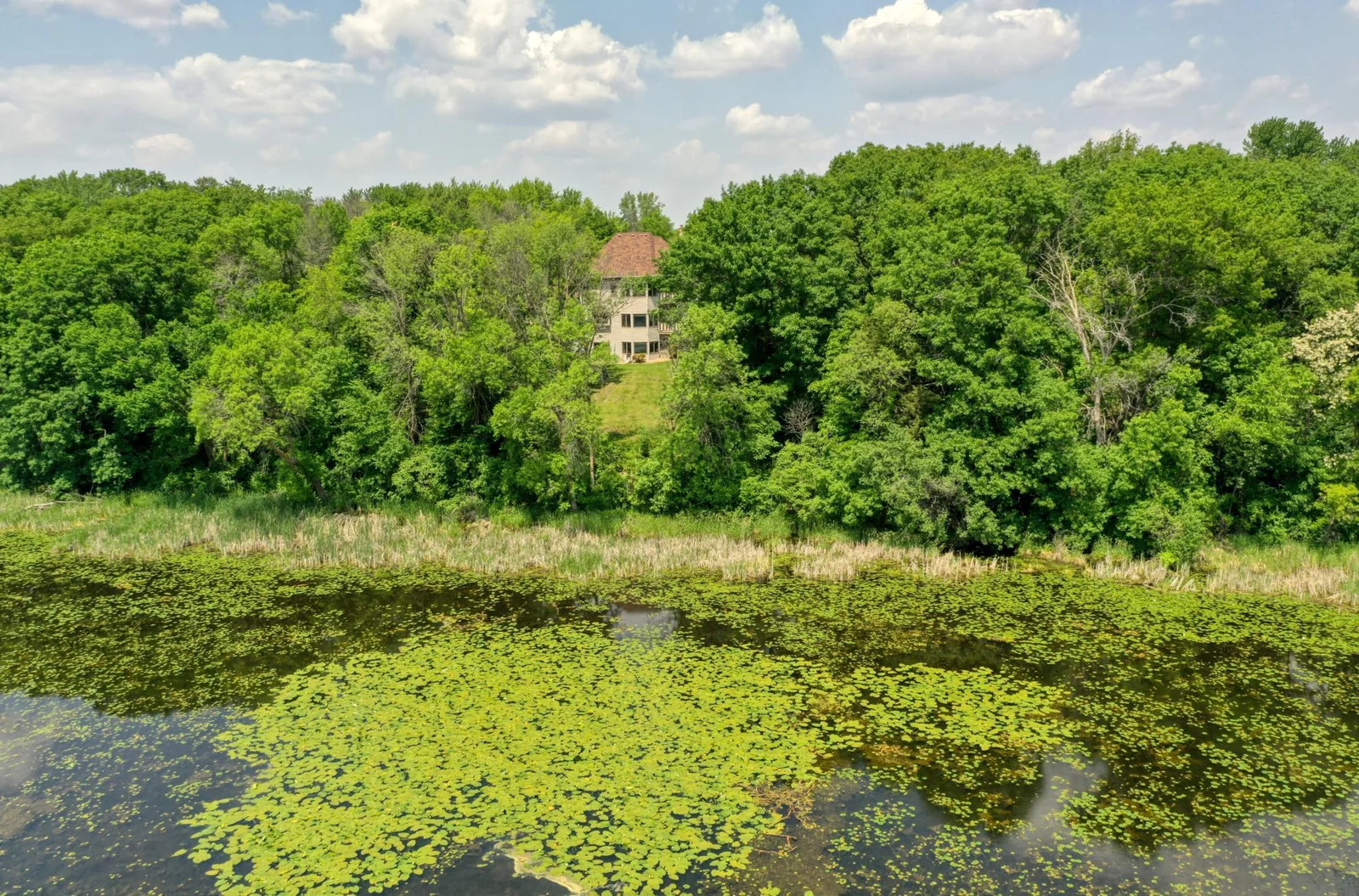 DJI_0402.jpg
