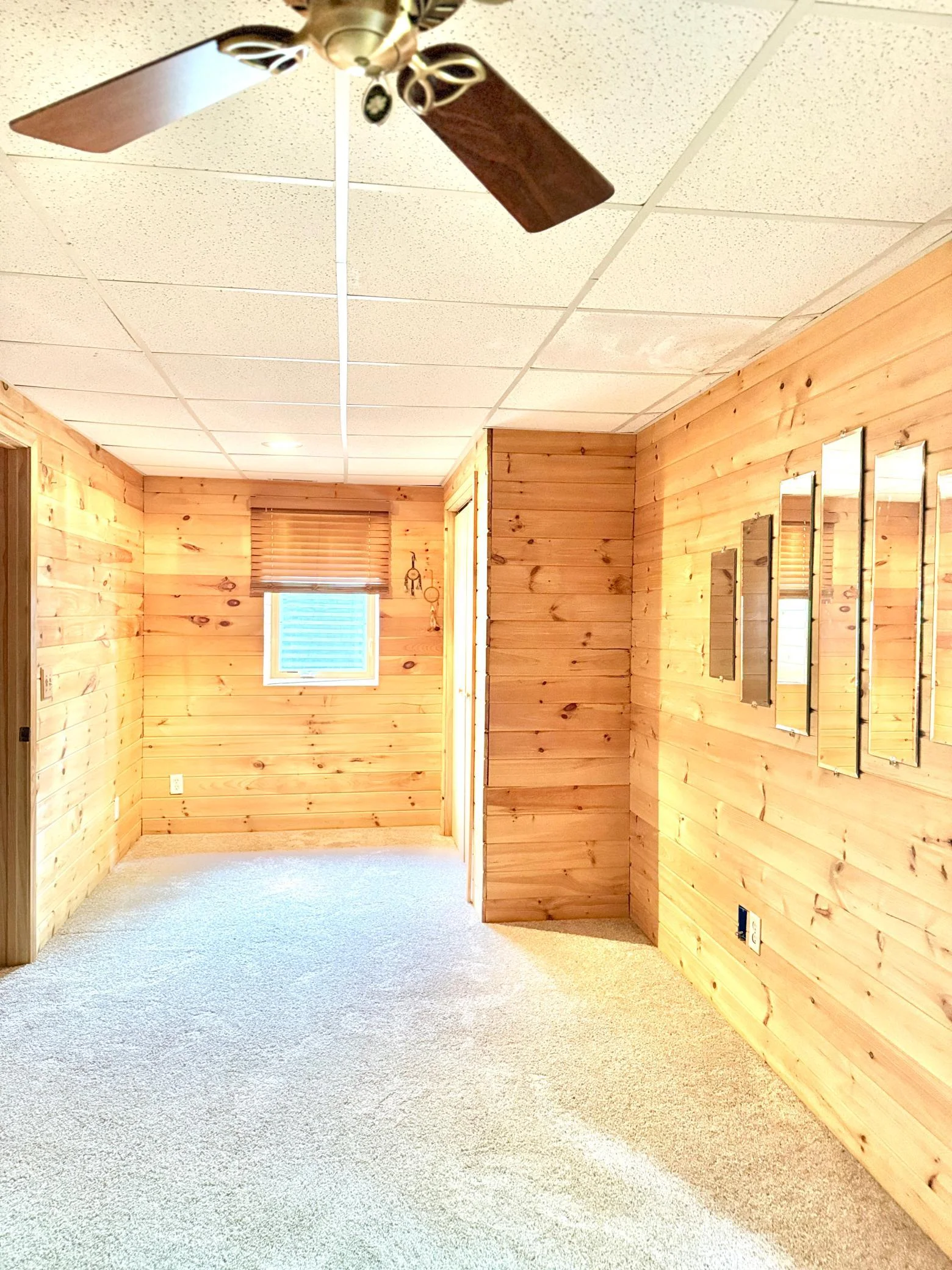 Basement Bedroom