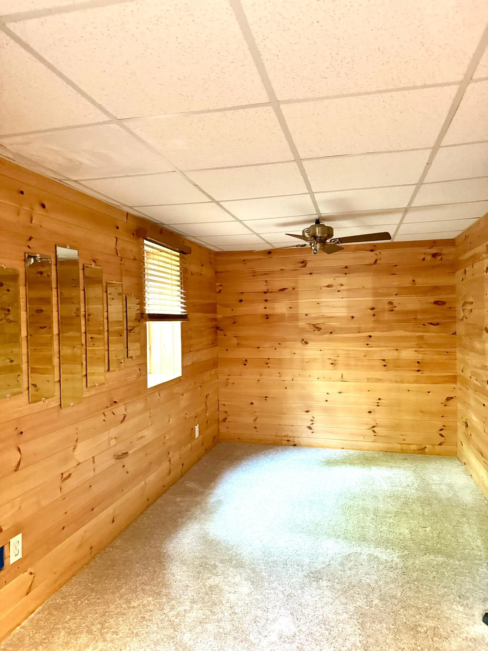 Basement Bedroom