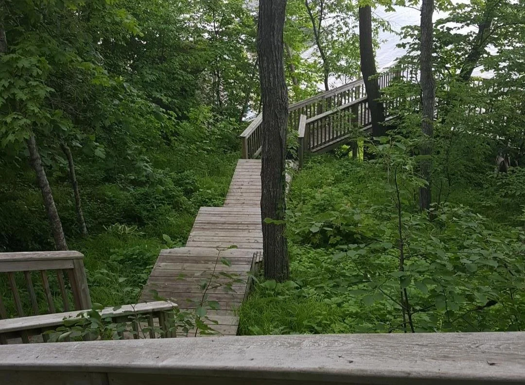 Steps to Lake