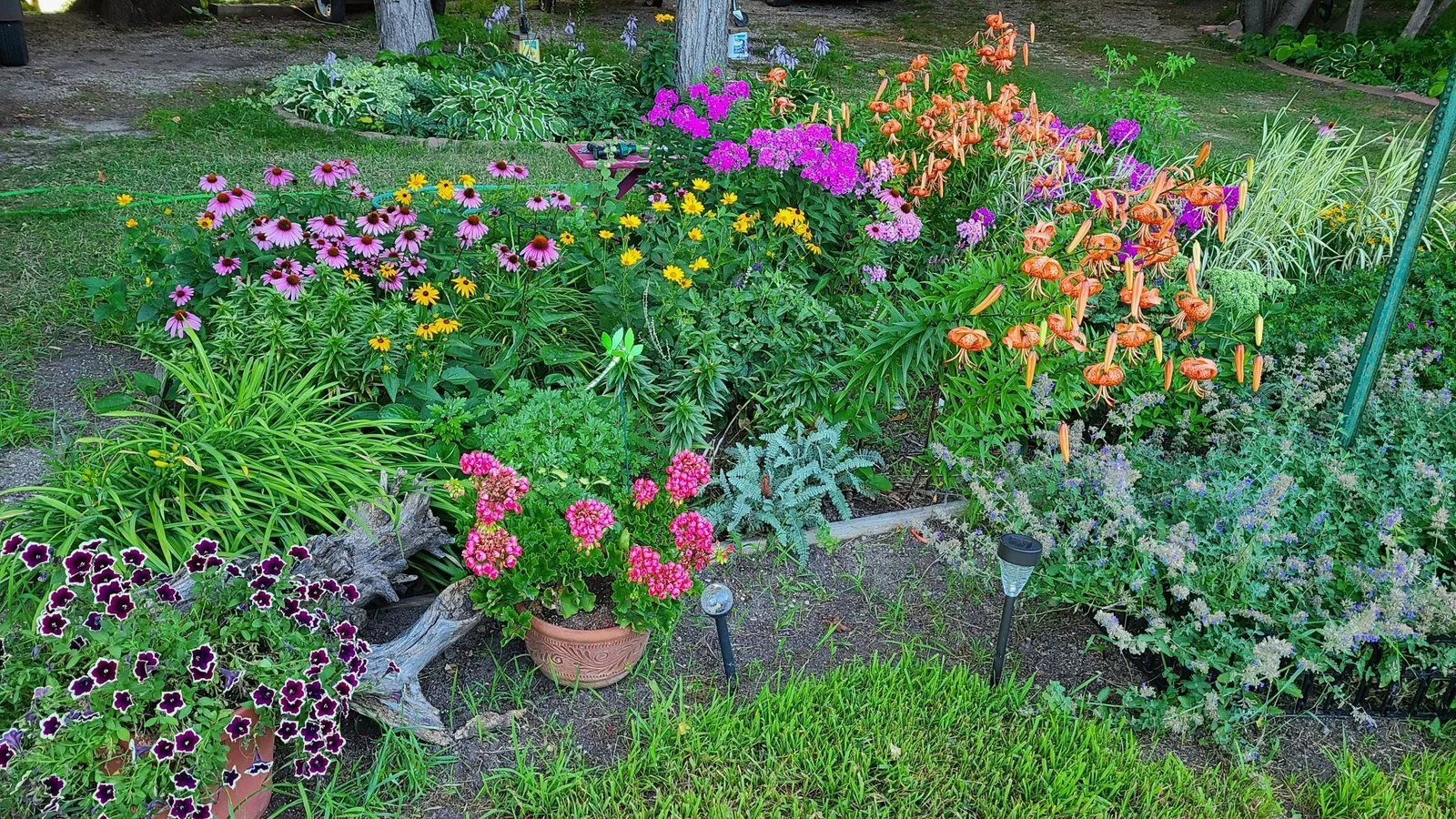 Flower Bed