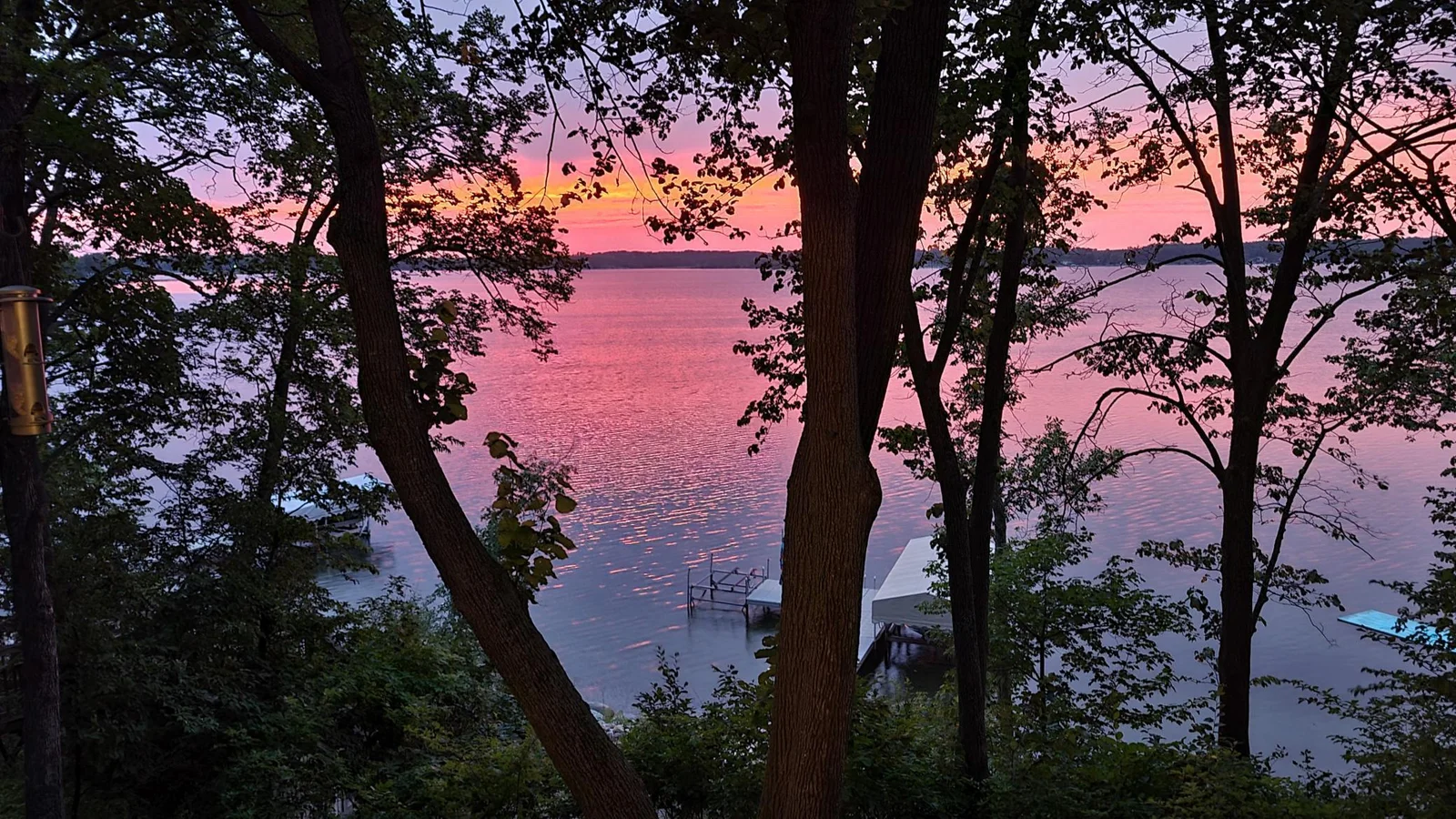 Sunsets Through Trees