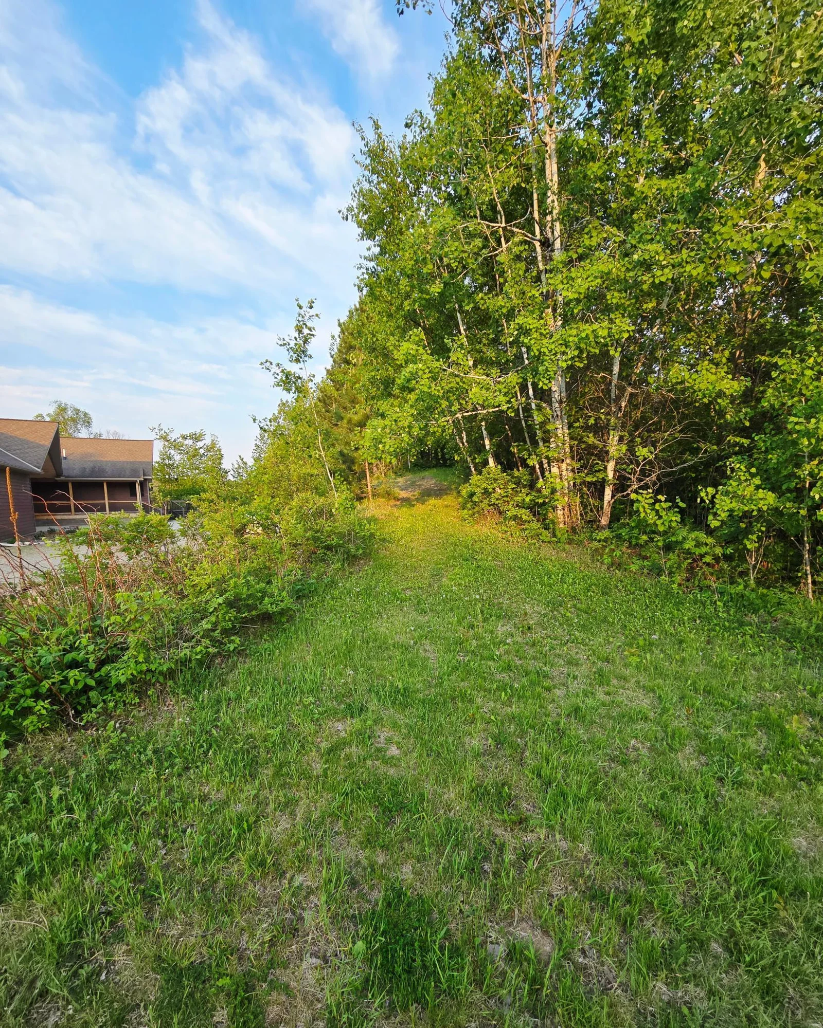Walking Trail