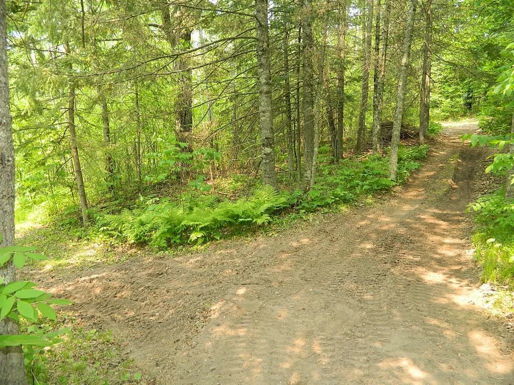 DSCN5767.JPG
