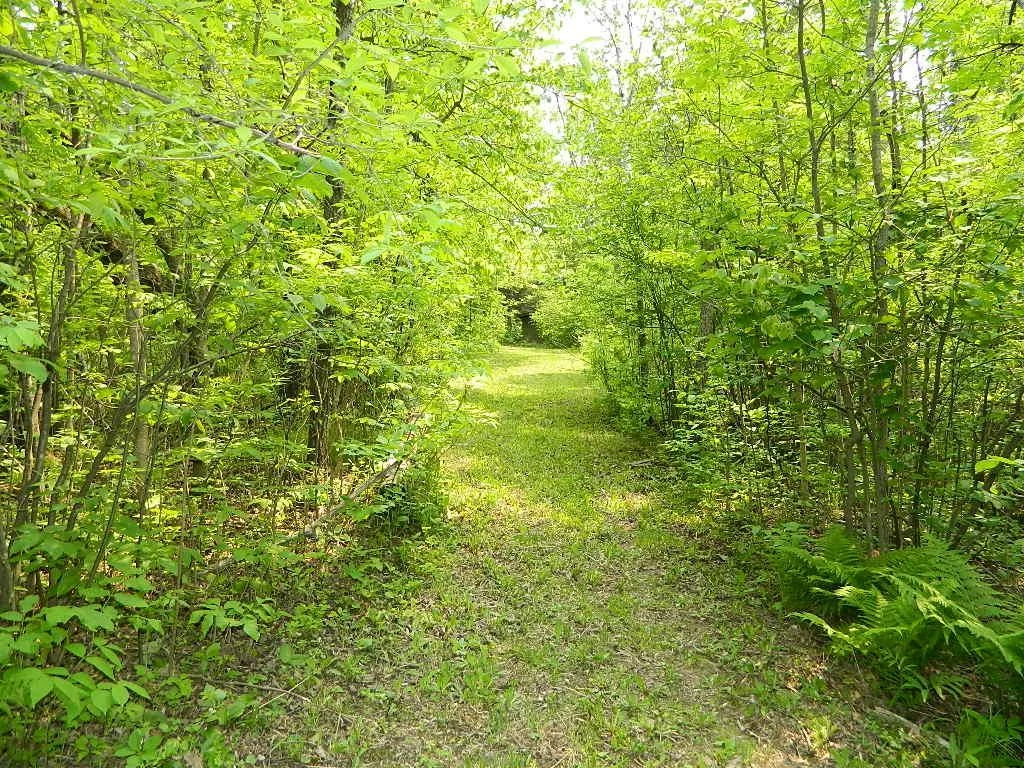 DSCN5762.JPG