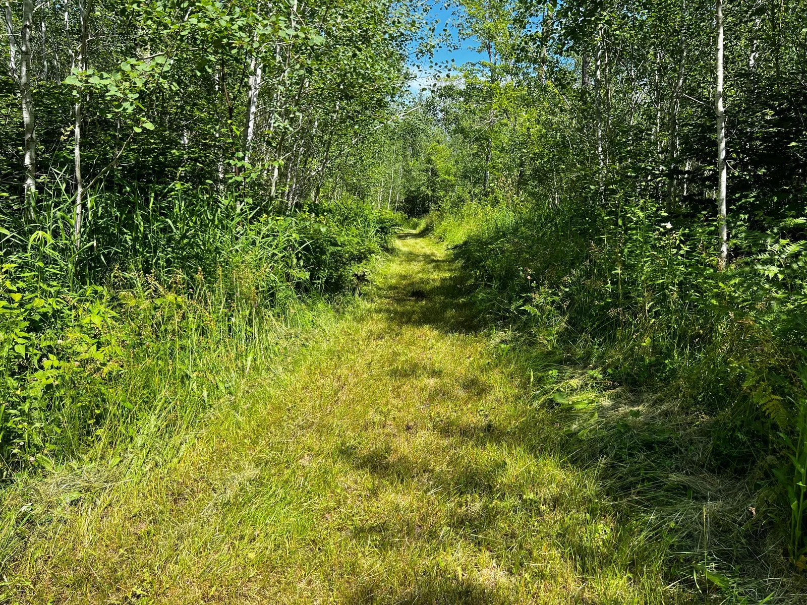 IMG_0928.jpeg