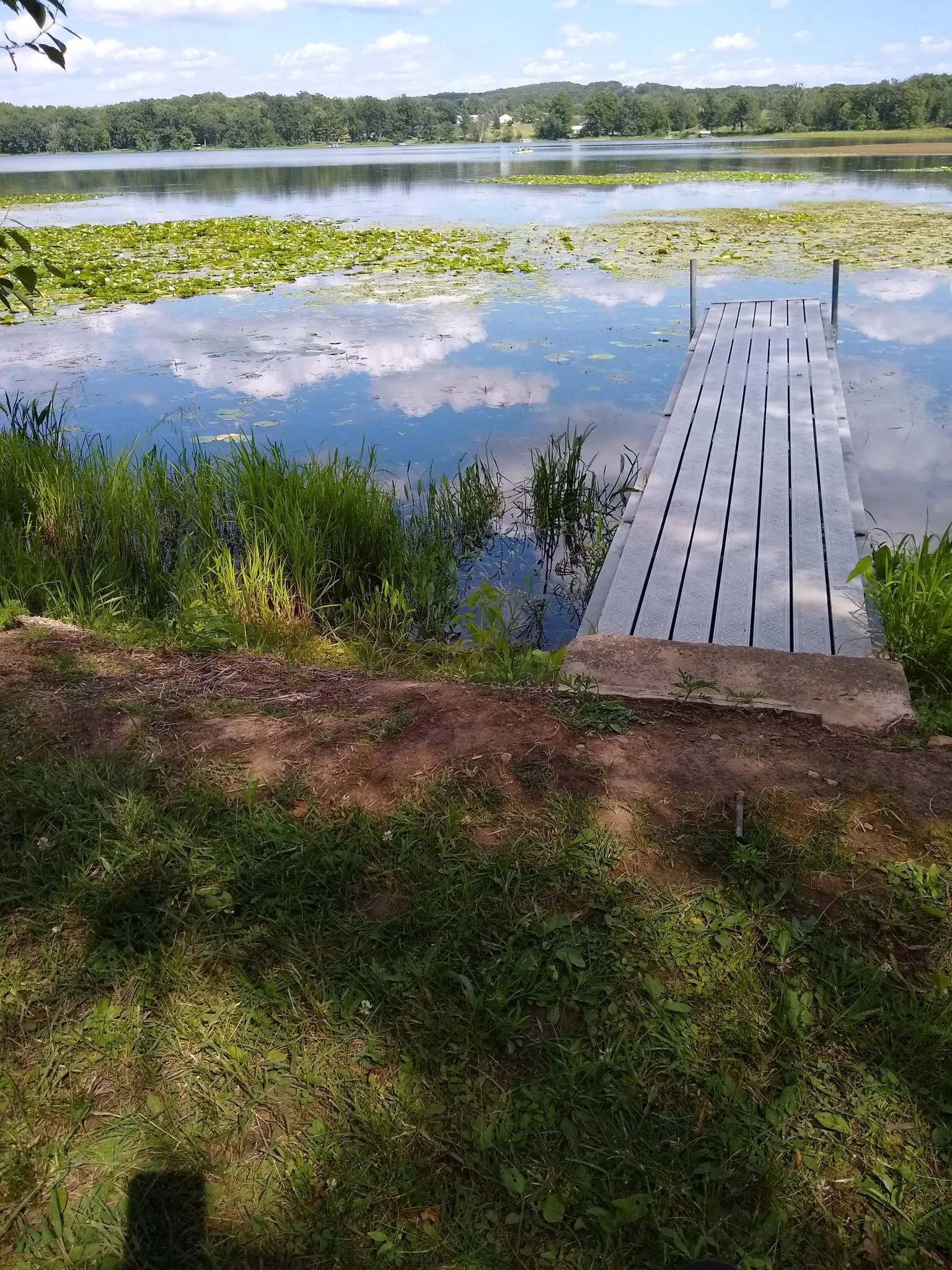 This is the shared dock at the access.  The current owner has been keeping this path and dock area mowed.  Not much of a swimming lake at the shores edge - but there are plenty of fish hiding in the lily pads!