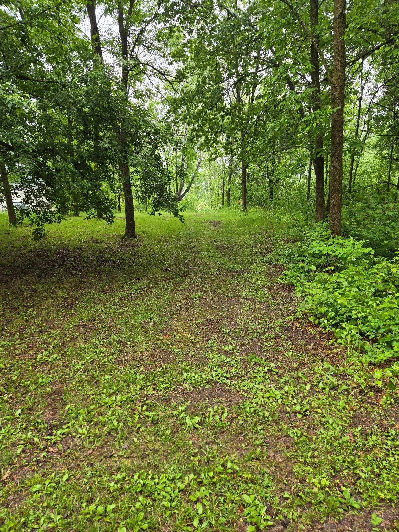 Just across the road from this home and a just a smidge to the right is the deeded access to the lake.