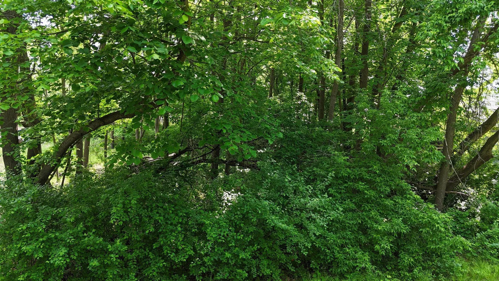 Thumbnail photo 17