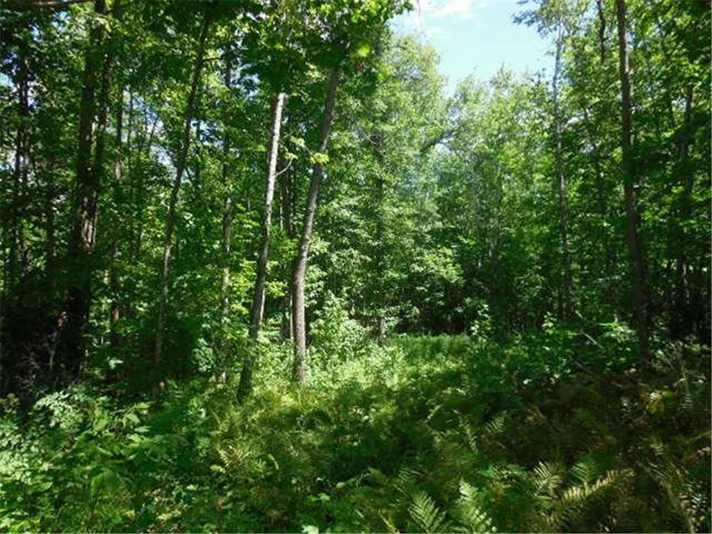 Enjoy the wooded setting that highlights the property’s natural privacy and peaceful surroundings.