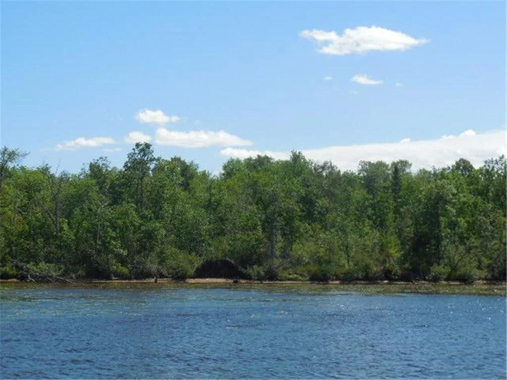 A beautiful view of the Prairie Lake's shoreline.