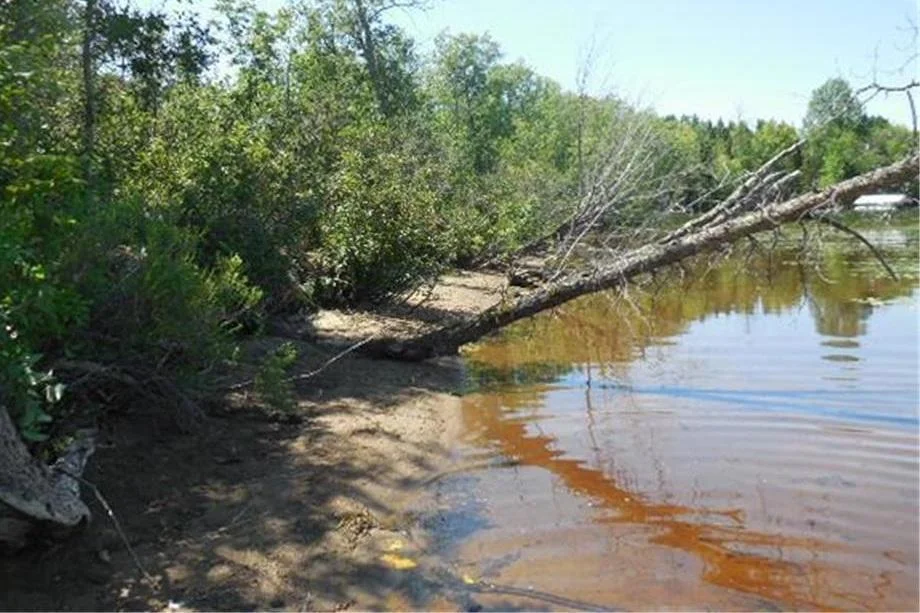 Natural sandy shoreline along Prairie Lake highlights the property’s private, untouched feel and peaceful surroundings.