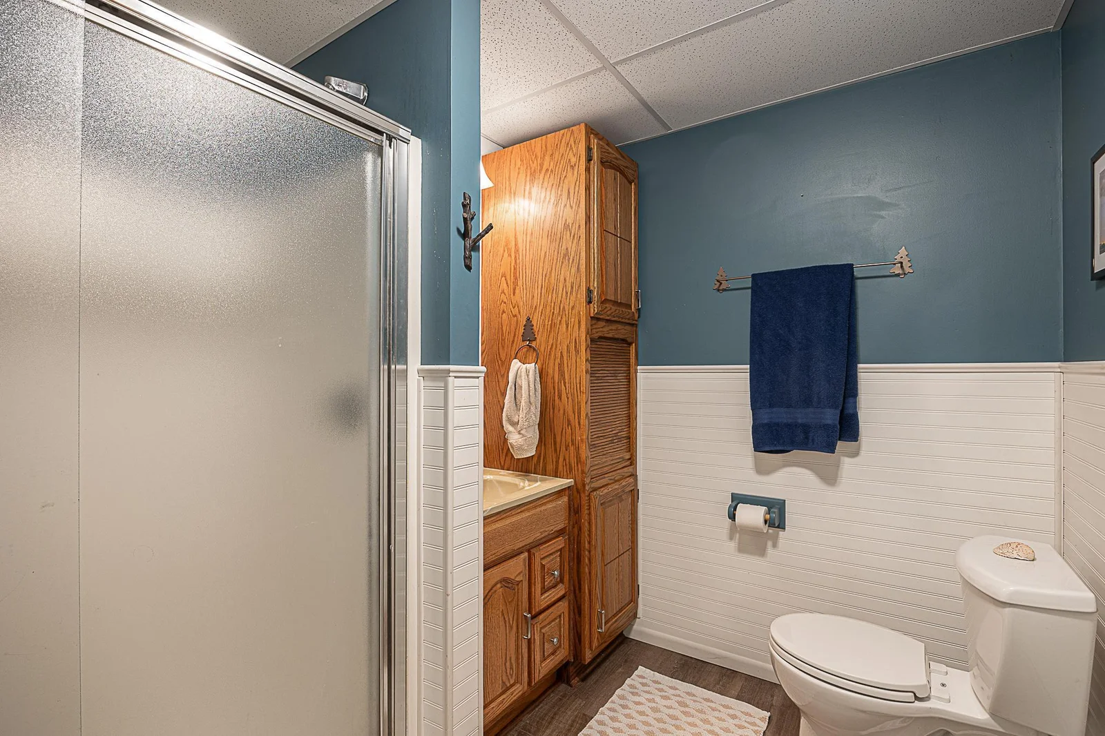 Lower Level Bath